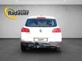 Volkswagen Tiguan 1,4 TSI Cool BMT Weiß - thumbnail 4