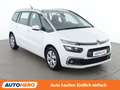 Citroen C4 SpaceTourer 1.5 Blue-HDi Feel Edition Weiß - thumbnail 8