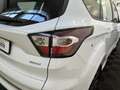 Ford Kuga ST-Line 1,5 EcoBoost *Navi*RFK*Keyless*1.Hd Weiß - thumbnail 10