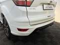 Ford Kuga ST-Line 1,5 EcoBoost *Navi*RFK*Keyless*1.Hd Weiß - thumbnail 11