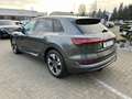 Audi e-tron 55 quattro S line*Black*Kamera*Tour* Gris - thumbnail 4