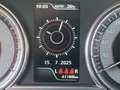 Suzuki Vitara 1.4 Hybrid 4WD Allgrip Cool Bianco - thumbnail 14