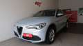 Alfa Romeo Stelvio Stelvio 2.2 Turbodiesel 190 CV AT8 Q4 Business Grigio - thumbnail 1