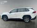 Toyota RAV 4 RAV4 2.5 Business Edition 2xKlima ACC AUT Wit - thumbnail 3