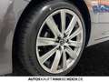 Mazda 6 2.5L SKY-G 194ps AT FWD TAKUMI SUNR SD Navi LED Grau - thumbnail 15