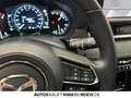 Mazda 6 2.5L SKY-G 194ps AT FWD TAKUMI SUNR SD Navi LED Grau - thumbnail 17