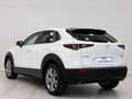 Mazda CX-30 e-SKYACTIV G MHEV 90kW Prime-line Blanco - thumbnail 18