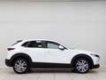 Mazda CX-30 e-SKYACTIV G MHEV 90kW Prime-line Blanco - thumbnail 2