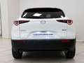 Mazda CX-30 e-SKYACTIV G MHEV 90kW Prime-line Blanco - thumbnail 19