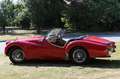 Triumph TR2 aus Sammlerhand Kırmızı - thumbnail 8