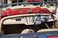 Triumph TR2 aus Sammlerhand Rojo - thumbnail 22