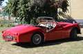 Triumph TR2 aus Sammlerhand Kırmızı - thumbnail 15