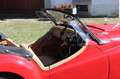 Triumph TR2 aus Sammlerhand Rojo - thumbnail 17