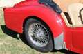 Triumph TR2 aus Sammlerhand Rojo - thumbnail 19