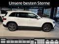 Mercedes-Benz GLB 250 GLB 250 AMG-Line*AHK*Distronic*Camera*MBUX-AR* LED Weiß - thumbnail 3