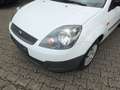 Ford Fiesta COURIER-CARGO 2-SITZER LKW-ZULASSUNG 1.HAND ! Weiß - thumbnail 16