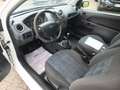 Ford Fiesta COURIER-CARGO 2-SITZER LKW-ZULASSUNG 1.HAND ! Weiß - thumbnail 5