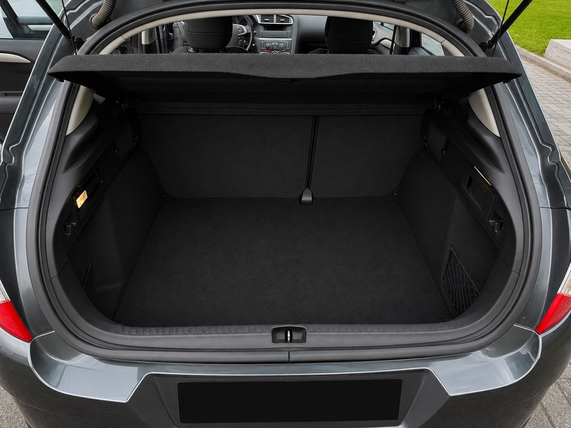 Citroen C4 C4 1.6 HDi Exclusive FAP — photo 8