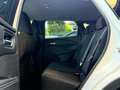 Nissan Qashqai Qashqai MHEV 140 CV Tekna Bianco - thumbnail 9