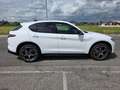 Alfa Romeo Stelvio 2.2 Turbodiesel 210 CV AT8 Q4 Sprint Wit - thumbnail 8