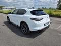 Alfa Romeo Stelvio 2.2 Turbodiesel 210 CV AT8 Q4 Sprint Wit - thumbnail 4