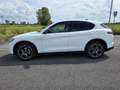 Alfa Romeo Stelvio 2.2 Turbodiesel 210 CV AT8 Q4 Sprint Wit - thumbnail 7