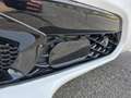 Alfa Romeo Stelvio 2.2 Turbodiesel 210 CV AT8 Q4 Sprint Wit - thumbnail 24