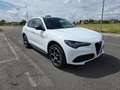 Alfa Romeo Stelvio 2.2 Turbodiesel 210 CV AT8 Q4 Sprint Wit - thumbnail 3