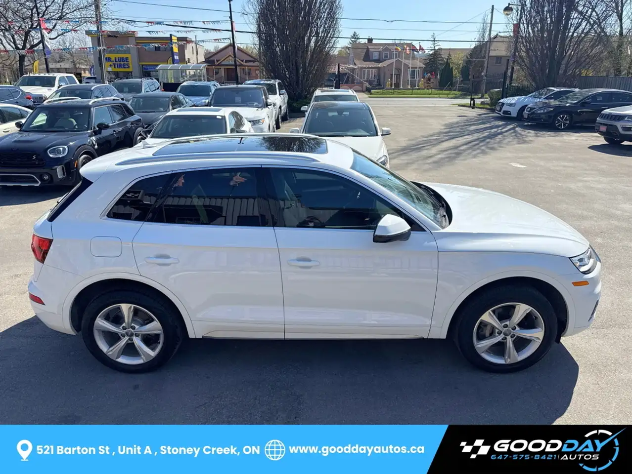 Audi Q5 photo Audi Q5