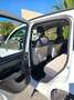 Fiat Panda Panda III 2012 1.2 Lounge 69cv E6 Bianco - thumbnail 11