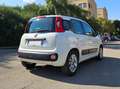 Fiat Panda Panda III 2012 1.2 Lounge 69cv E6 Bianco - thumbnail 5