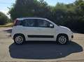 Fiat Panda Panda III 2012 1.2 Lounge 69cv E6 Bianco - thumbnail 4