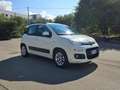 Fiat Panda Panda III 2012 1.2 Lounge 69cv E6 Bianco - thumbnail 3