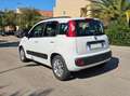 Fiat Panda Panda III 2012 1.2 Lounge 69cv E6 Bianco - thumbnail 8
