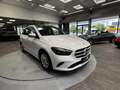 Mercedes-Benz B 200 d Aut. *Pano*Ambiente*360°Grad* Weiß - thumbnail 6