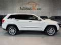 Jeep Grand Cherokee 3.0 CRD Limited/AHK/SHZ/RFK/TEMPO Weiß - thumbnail 7