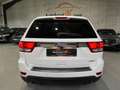 Jeep Grand Cherokee 3.0 CRD Limited/AHK/SHZ/RFK/TEMPO Weiß - thumbnail 4