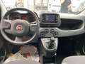 Fiat Panda Panda 1.0 firefly hybrid City Life Blanc - thumbnail 6
