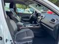 Renault Kadjar 1,5 dCi XMOD 1hand TÜVNeu Anhängerkupplun Weiß - thumbnail 14