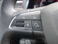 SEAT Ibiza 1.0 TSI FR LED Navi ACC Beats Kamera PDC Grau - thumbnail 23