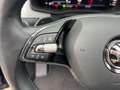 Skoda Kodiaq 2.0 TDI DSG Tour 4x4 PANO/NAVI/LED/ACC Bleu - thumbnail 16