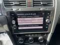 Volkswagen Golf Golf VII  5p 5p 1.6 tdi Business 115cv dsg Grigio - thumbnail 8