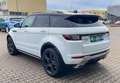 Land Rover Range Rover Evoque 2.0 TD Sd4 SE SHZ NAVI RFK AHK EURO 6 Weiß - thumbnail 6