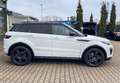 Land Rover Range Rover Evoque 2.0 TD Sd4 SE SHZ NAVI RFK AHK EURO 6 Weiß - thumbnail 7
