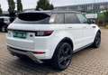 Land Rover Range Rover Evoque 2.0 TD Sd4 SE SHZ NAVI RFK AHK EURO 6 Weiß - thumbnail 4