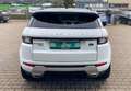 Land Rover Range Rover Evoque 2.0 TD Sd4 SE SHZ NAVI RFK AHK EURO 6 Blanco - thumbnail 5
