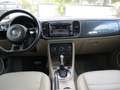 Volkswagen Beetle Sport Weiß - thumbnail 12