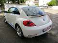 Volkswagen Beetle Sport Weiß - thumbnail 5
