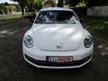 Volkswagen Beetle Sport Weiß - thumbnail 2