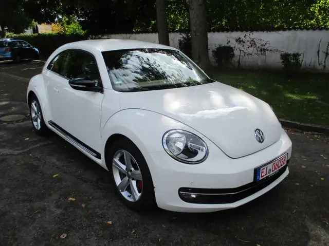 Volkswagen Beetle Sport